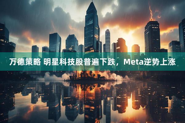万德策略 明星科技股普遍下跌，Meta逆势上涨
