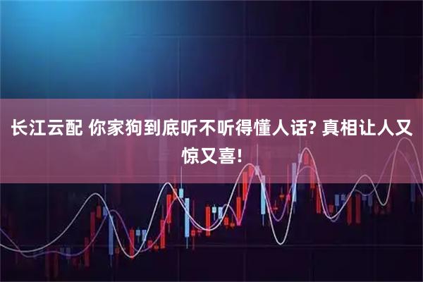长江云配 你家狗到底听不听得懂人话? 真相让人又惊又喜!