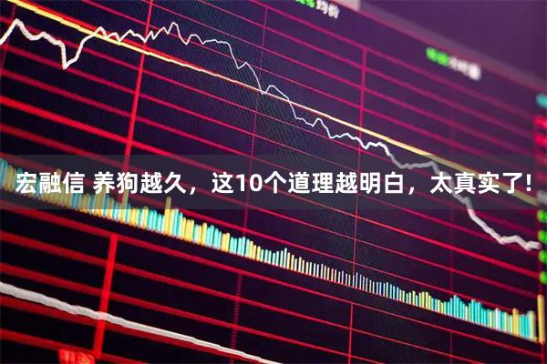 宏融信 养狗越久，这10个道理越明白，太真实了!