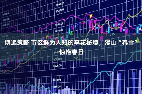 博远策略 市区鲜为人知的李花秘境，漫山“春雪”惊艳春日